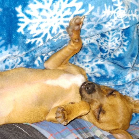 Meet your Posher, Marcy - Picture 12 of 16